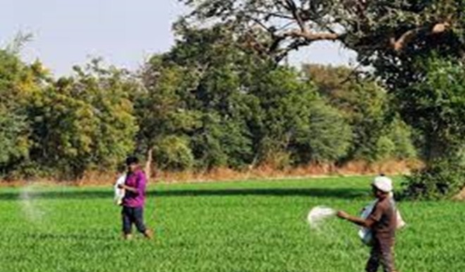 मध्य प्रदेश कांग्रेस ने खाद की कमी और कालाबाजारी का आरोप लगाया