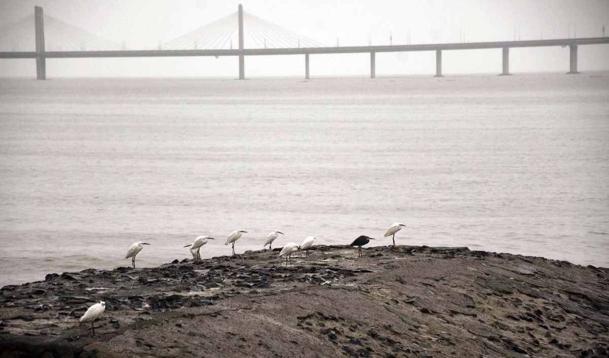 केंद्रीय दल ने ओडिशा के चक्रवात प्रभावित क्षेत्रों का दौरा किया