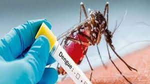 UP में लगातार बढ़ रही डेंगू की रफ्तार 24 घंटे में मिले 219 नए केस लखनऊ में 1 की मौत,