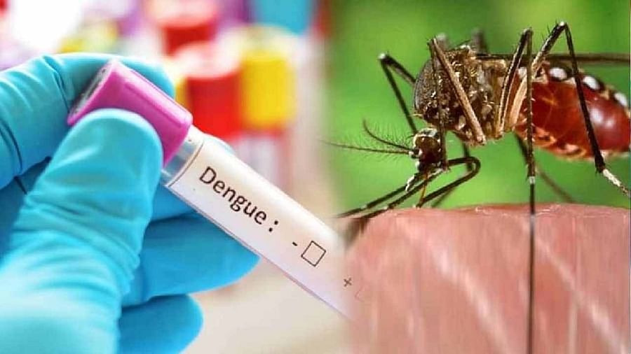 Uttar Pradesh यूपी में डेंगू का कहर, अब तक 21 हजार लोग बने शिकार