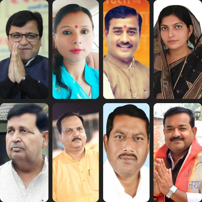 जिला हरदोई के बीजेपी सिपहसालार 