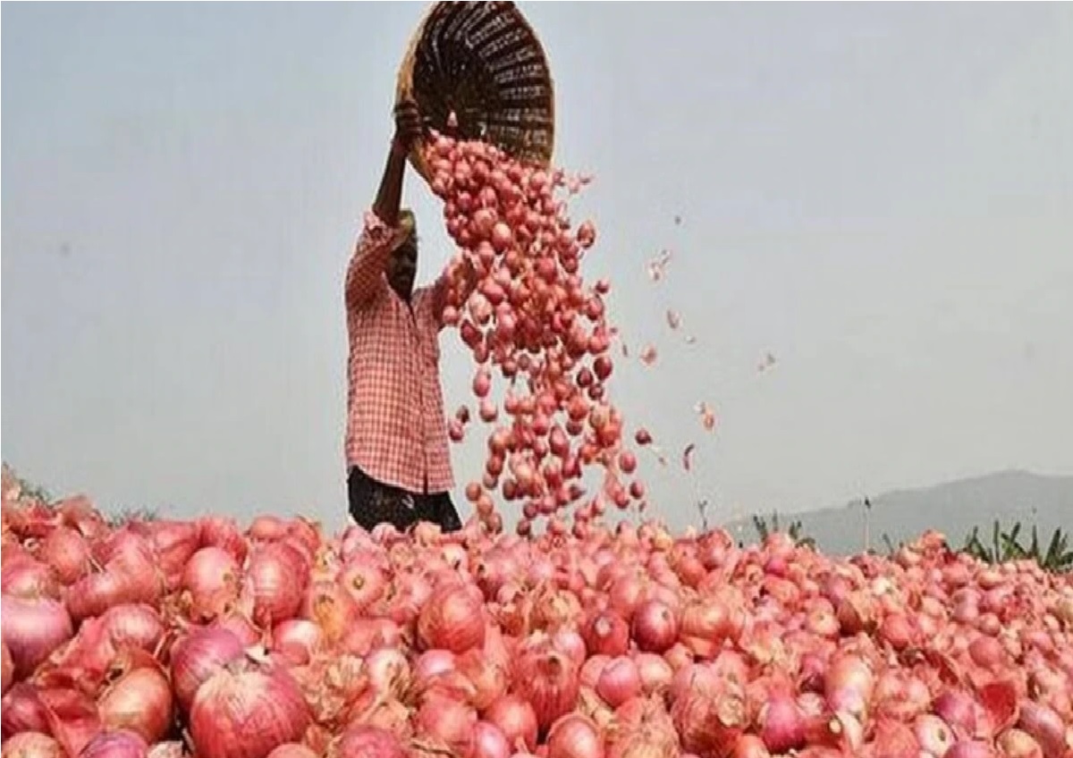 महाराष्ट्र के कई जिलों में विधानसभा चुनाव में भी मुद्दा बनेगा प्याज निर्यात पर प्रतिबंध