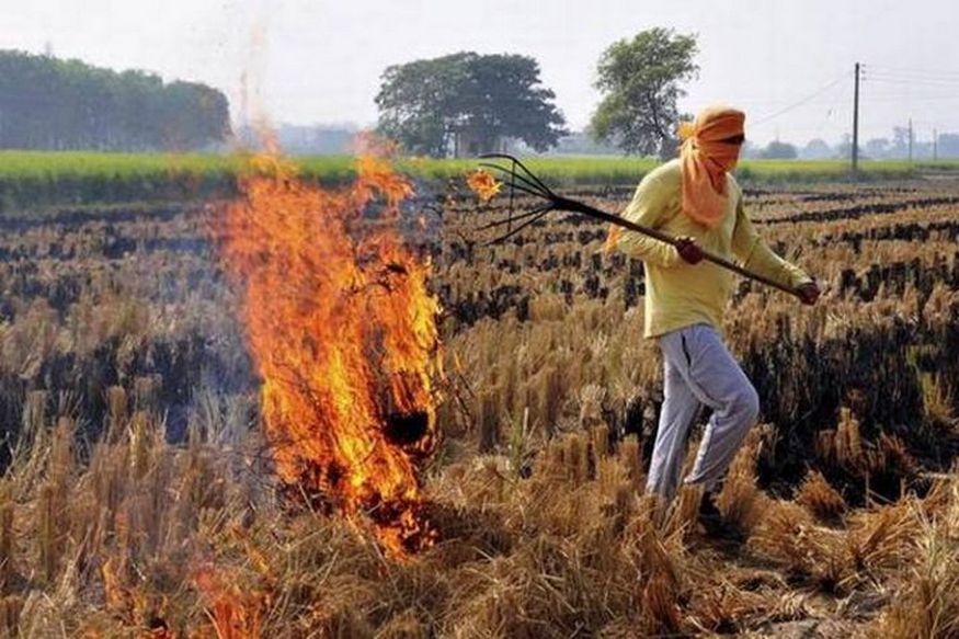 पंजाब: पराली जलाने के मामले 13 हजार के पार, निपटने में असफलता के लिए 4 कृषि अधिकारी सस्पेंड