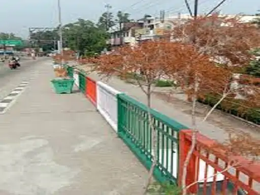 विश्व पर्यावरण दिवस लापरवाही की तपिश में झुलसे लाखों पौधें तीन साल में लगाए 42 लाख पौध