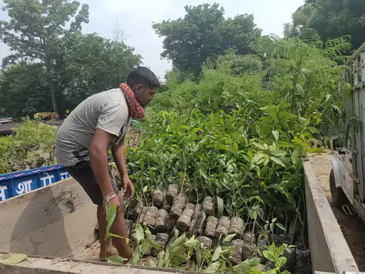 हरदोई में लगाए जाएंगे 75 लाख पौधे