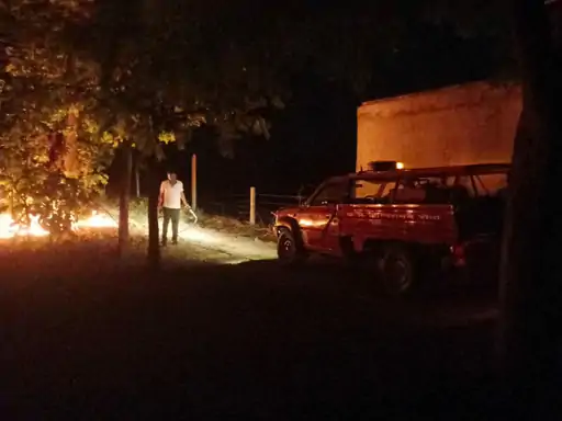 घाटमपुर में यूके लिप्टस के बाग में लगी आग फायर ब्रिगेड ने दो घंटे की मशक्कत के बाद बुझाई