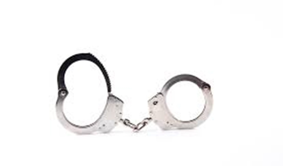 पत्रकार राणा अय्यूब के खिलाफ फर्जी खबरें फैलाने के आरोप में मुंबई पुलिस ने दो लोगों को गिरफ्तार किया