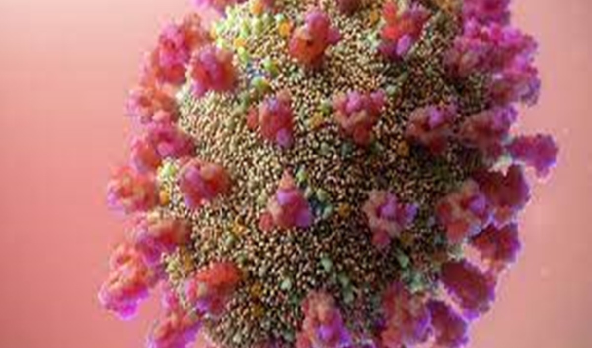 छत्तीसगढ़ में कोविड-19 के 5614 नए मामले