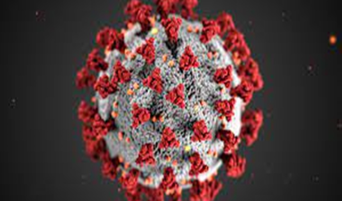 छत्तीसगढ़ में कोविड-19 के 59 नए मामले