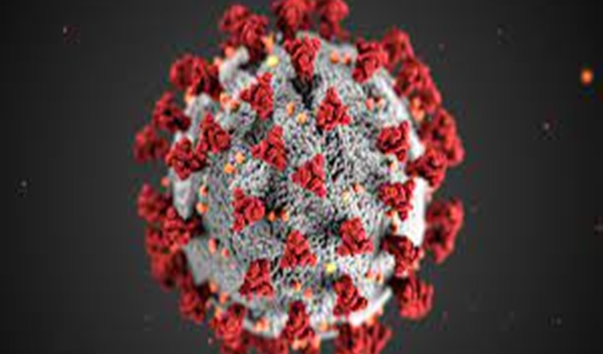 दिल्ली में कोरोना वायरस संक्रमण के 146 नए मामले एक की मौत