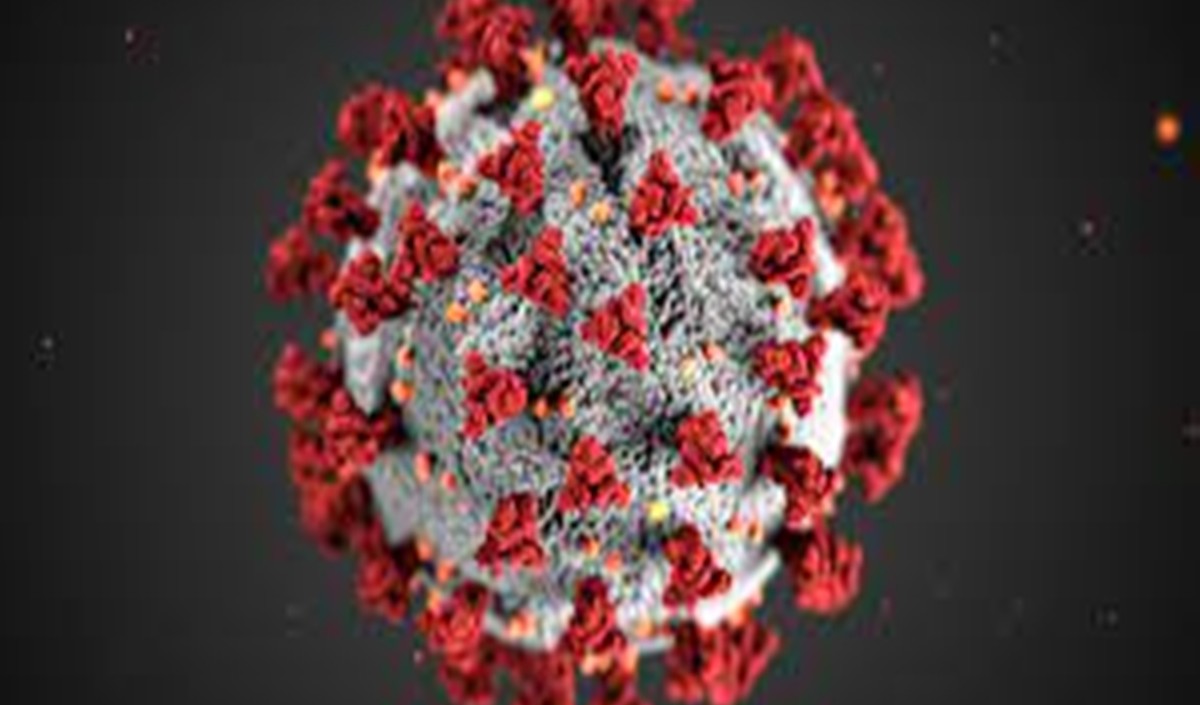 कोरोना का प्रसार रोकने के लिए पहले ही कार्रवाई करें: केन्द्र ने चार राज्यों और दिल्ली से कहा