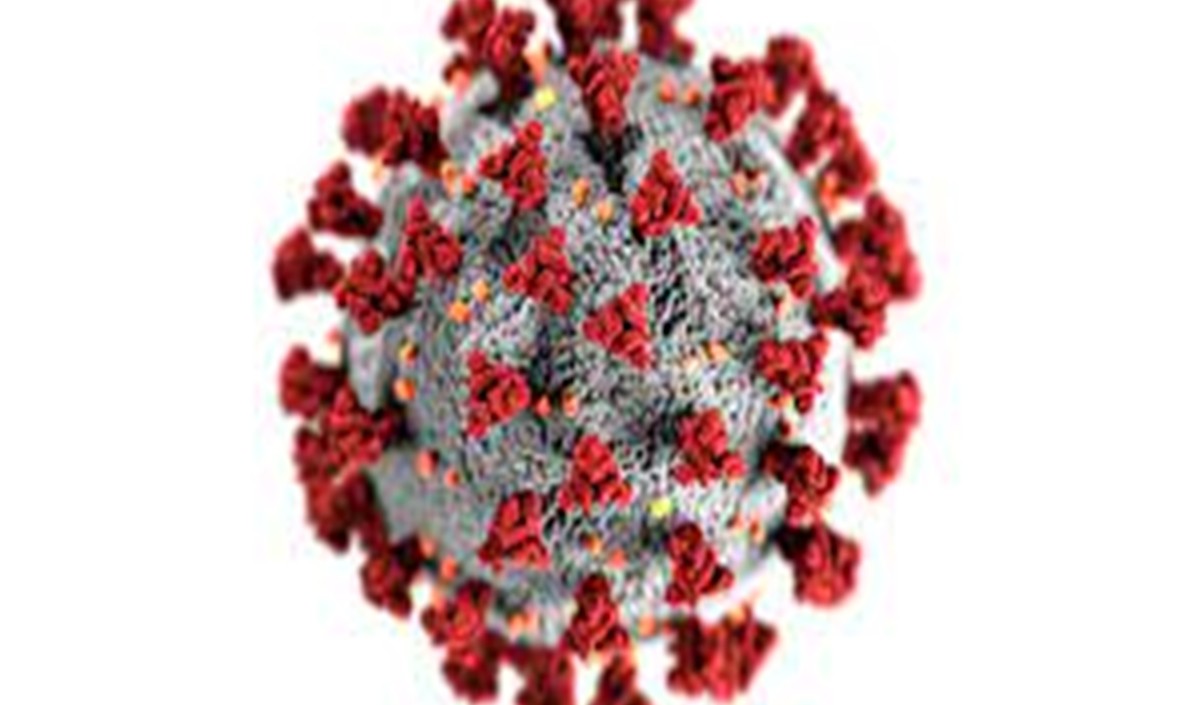 छत्तीसगढ़ में सामने आये कोविड-19 के 20 नए मामले