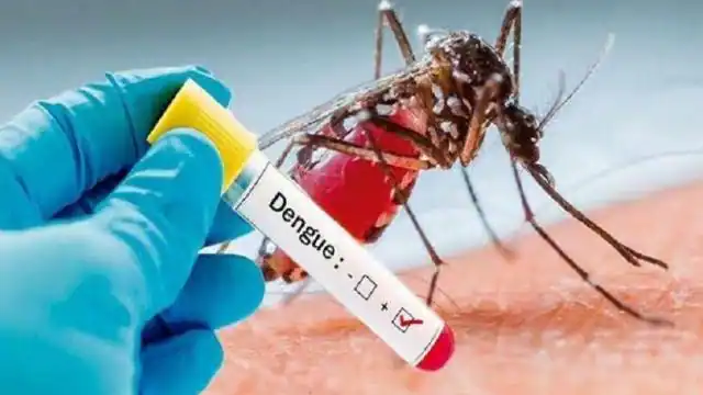 डेंगू से देशभर में हालात खराब, 12 राज्‍यों में अब तक 60 मरीजों की मौत
