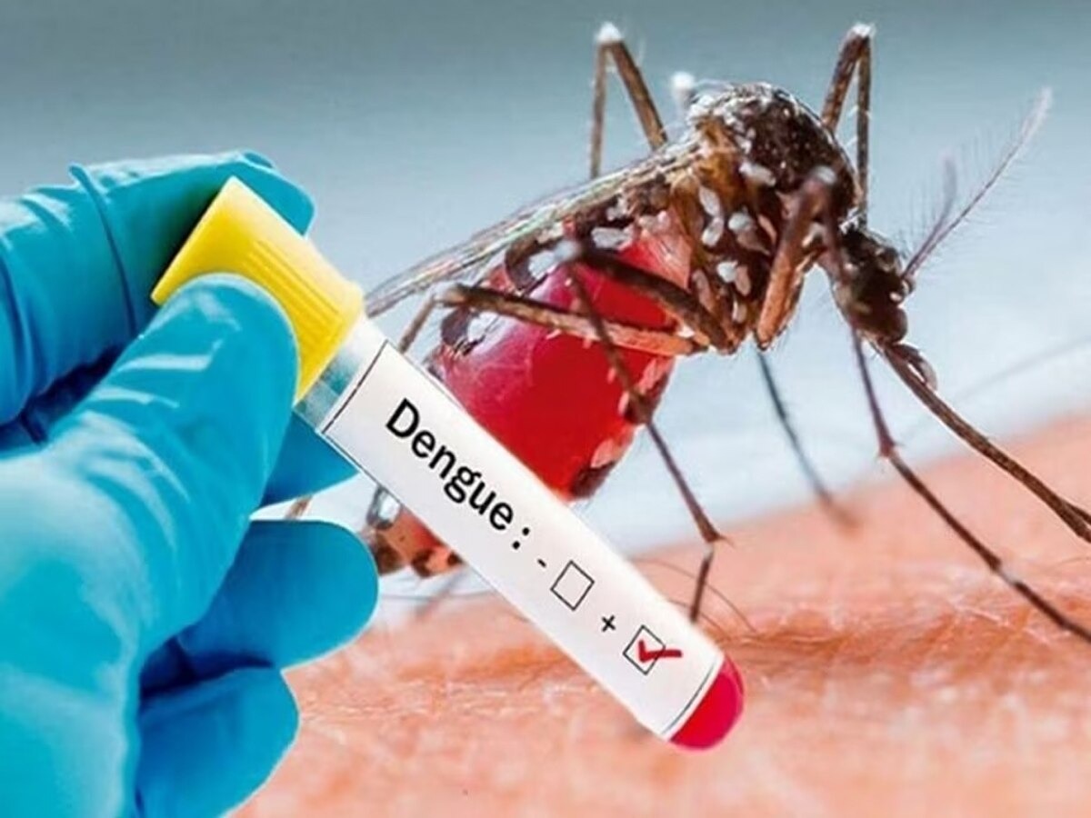 West Bengal: डेंगू से छह और लोगों की मौत, मरने वालों की संख्या बढ़कर 30 से अधिक