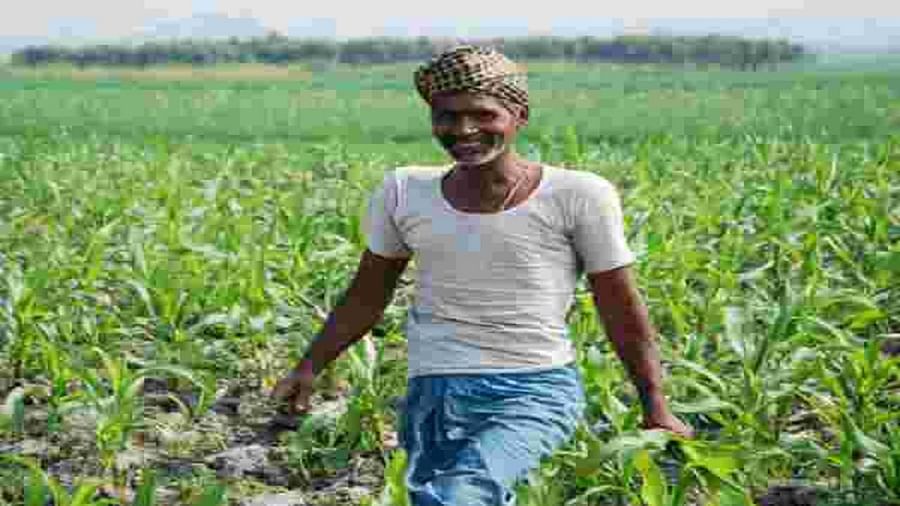 UP CM योगी ने धान खरीद के लिए किसानों को दी राहत अब से मोबाइल नंबर की आधार से लिंक की अनिवार्यता खत्म