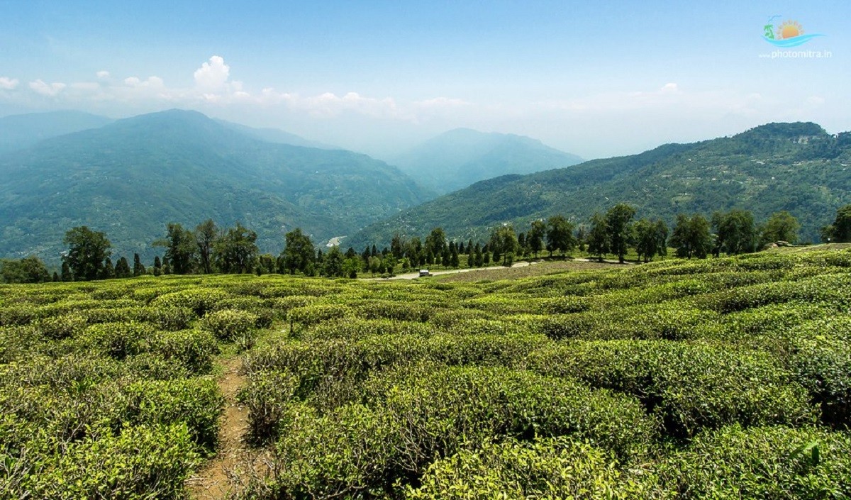 रानीखेत में हिमालयी मसाला उद्यान का उद्घाटन किया गया