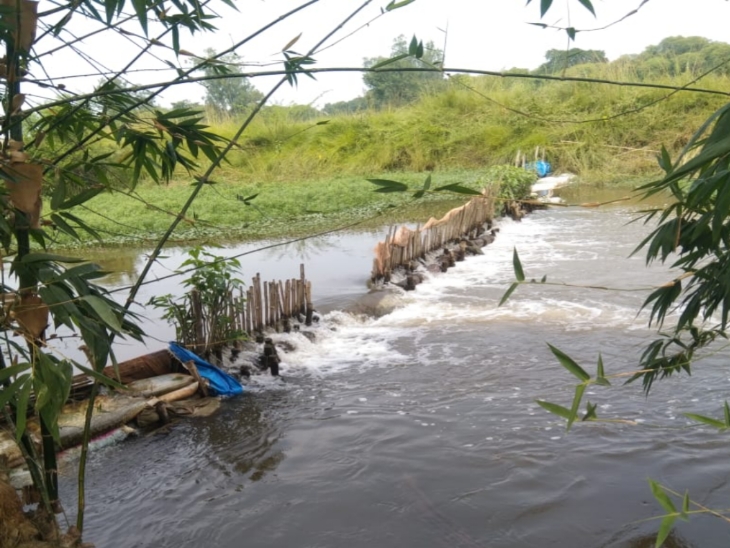 30 गांव के 1000 बीघे खेत हुए जलमग्न: कच्ची नहर को मछली पकड़ने के लिए जगह जगह पर बांधा