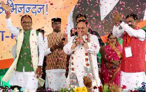 नेताओं के बच्चों को टिकट नहीं देगी भाजपा नड्डा बोले