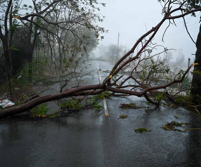 Cyclone Mocha: बंगाल की खाड़ी में भयानक रुप ले रहा है चक्रवाक मोचा, अंडमान प्रशासन ने जारी किया अलर्ट