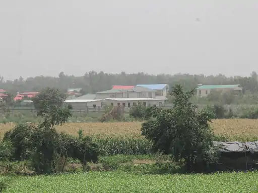 नोएडा के 2 हजार फार्म हाउस अवैध यमुना के डूब वाले एरिया में आते हैं ये फार्म 20 साल से होते रहे कंस्ट्रक्शन