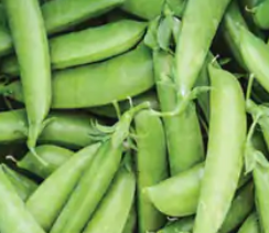 महंगी होंगी फल-सब्जियां मंडी के अंदर बेचने के लिए किसानों को देना होगा यूजर चार्ज इनडायरेक्ट हम पर ही बढ़ेगा बोझ