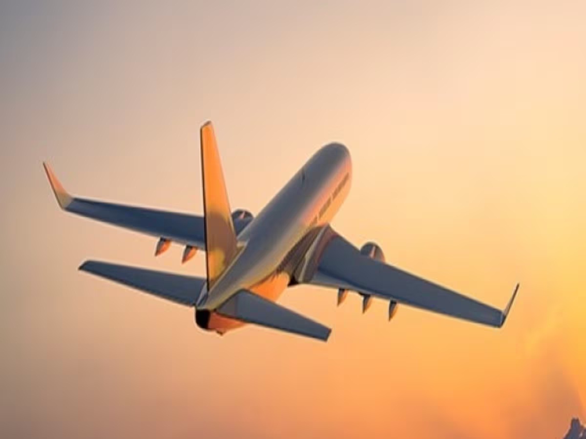 New Delhi: न पासपोर्ट न वीजा और महिला पहुंच गई विदेश, एयरलाइन कंपनी मांग रही है माफी... लेकिन क्यों?