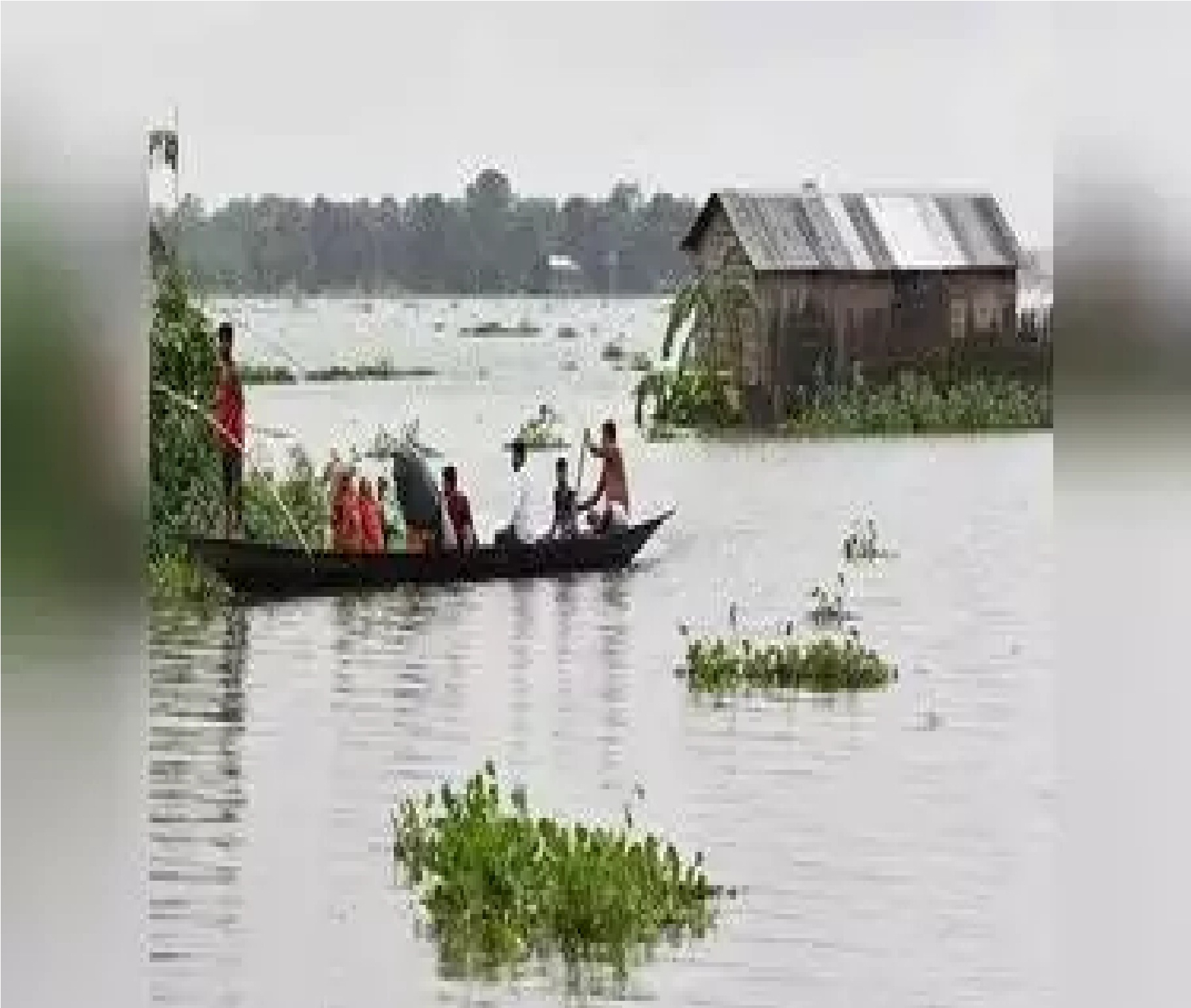 Prayagraj: ज्ञानवापी पर इलाहाबाद हाईकोर्ट में सुनवाई आज; तय होगा कि कार्बन डेटिंग होगी या नहीं, हाईकोर्ट में ASI ने रखी रिपोर्ट