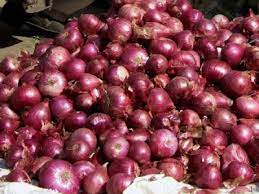 इस त्योहारी सीजन में फिर से रुलाएगा प्याज दोगुनी हो सकती है कीमत
