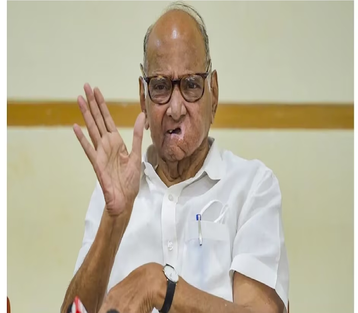 Sharad Pawar: INDIA Bloc की बैठक पर बोले... सीट शेयरिंग पर जल्द फैसला, खड़गे का भी आया बयान