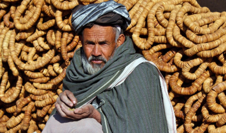 सितंबर अंत तक खत्म हो जाएगा अफगानिस्तान का खाद्य भंडार, अब कैसे भूख मिटाएगा तालिबान