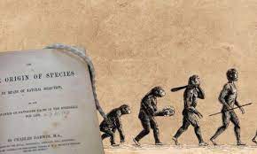 New Delhi: अब बच्चों को नहीं पढ़ाई जाएगी चार्ल्स डार्विन की Theory of Evolution? NCERT के कदम पर साइंटिस्‍ट्स ने जताई आपत्ति