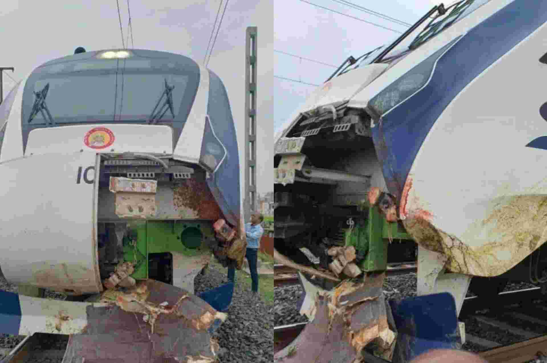 Gujrat: मवेशियों के वंदे भारत से टकराने की घटनाओं के बाद आरपीएफ का एक्शन, ग्राम सरपंचों को नोटिस जारी