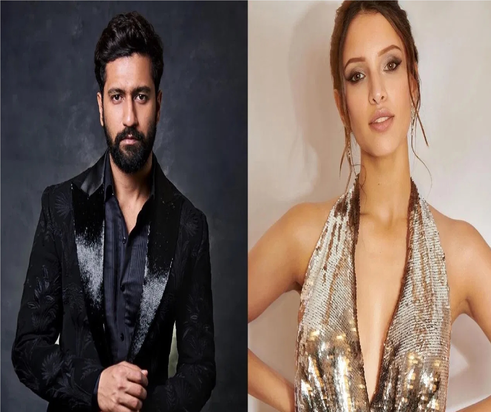 Bad News Movie: Tripti Dimri इस मामले में रह गईं Vicky Kaushal से पीछे