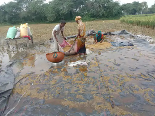 अलीगढ़ में 4 दिन में 60 एमएम बारिश सड़के लबालब घरों में घुसा पानी